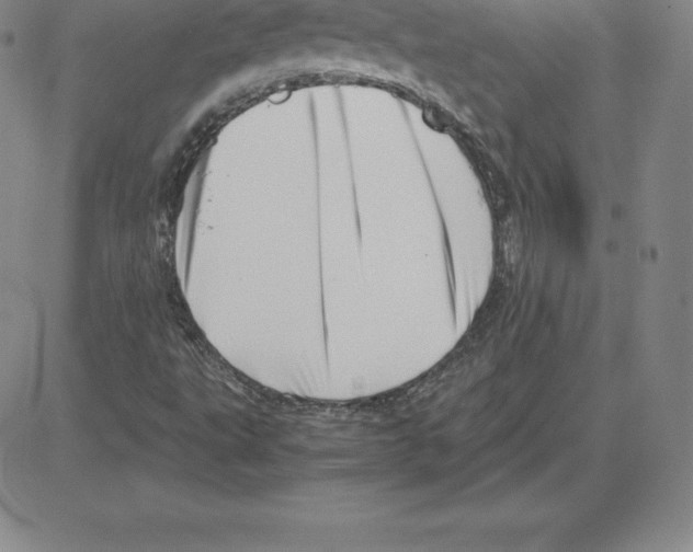 X0000080111495200701051316