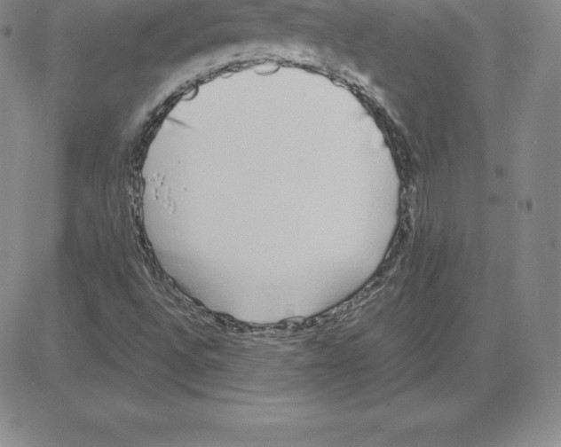 X0000080111496200701051316