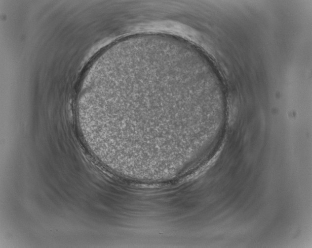 X0000080111497200701051316