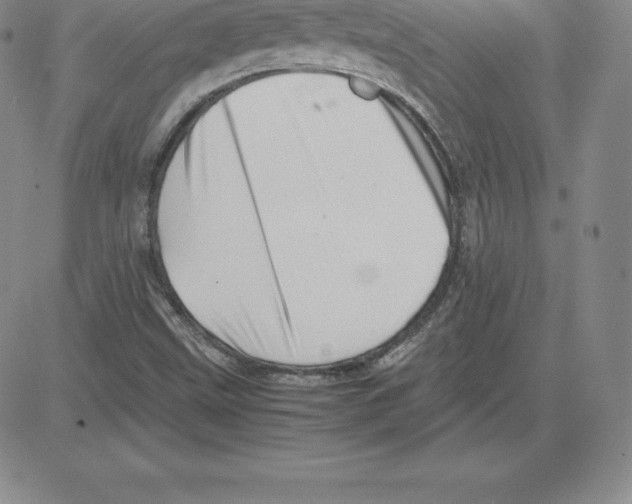 X0000080111499200701051316