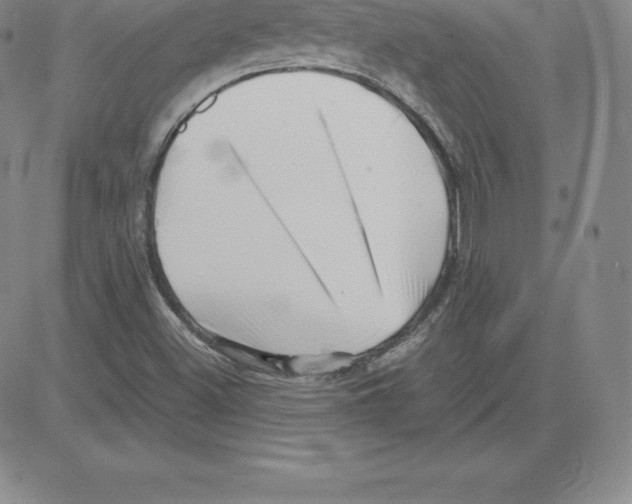 X0000080111500200701051316