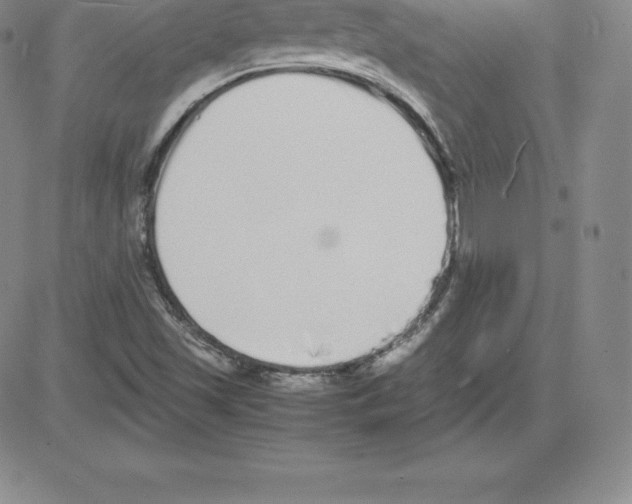 X0000080111501200701051316