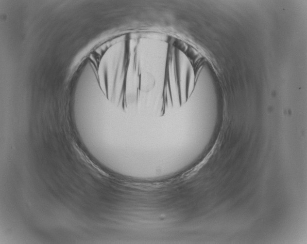 X0000080111502200701051316