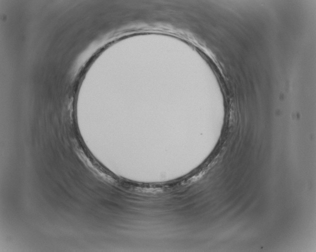 X0000080111503200701051316