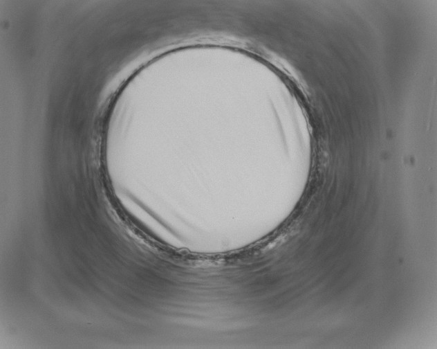 X0000080111504200701051316