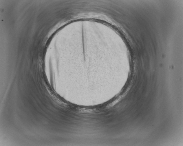 X0000080111505200701051316