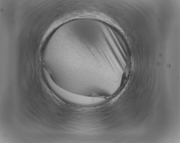 X0000080111506200701051316