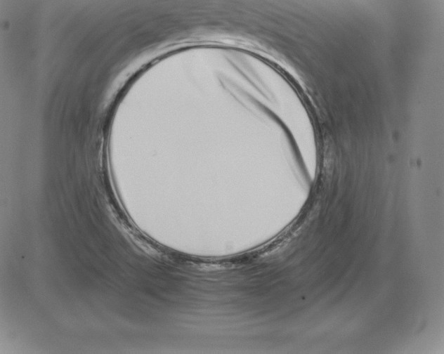 X0000080111507200701051316