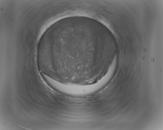 X0000080111508200701051316