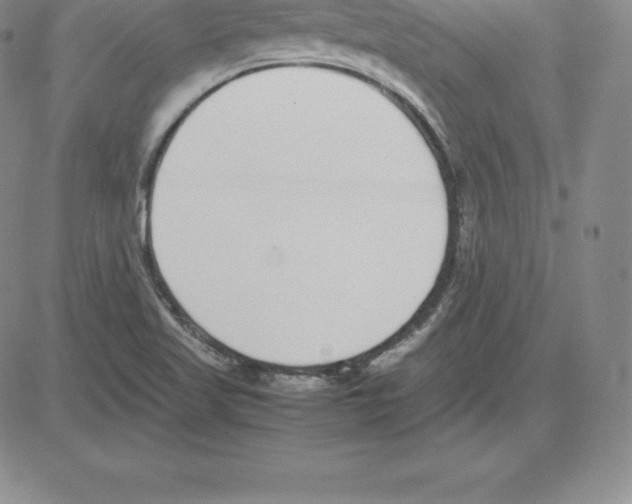 X0000080111509200701051316