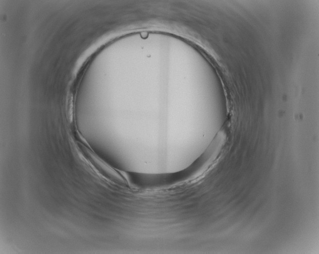 X0000080111510200701051316