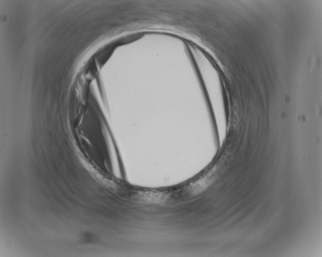 X0000080111511200701051317