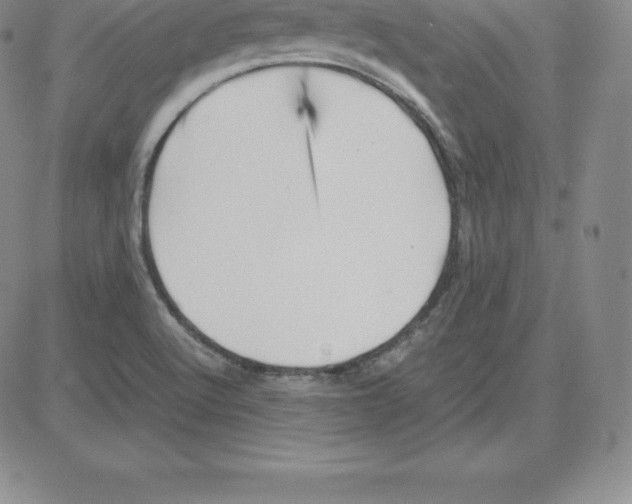 X0000080111512200701051317