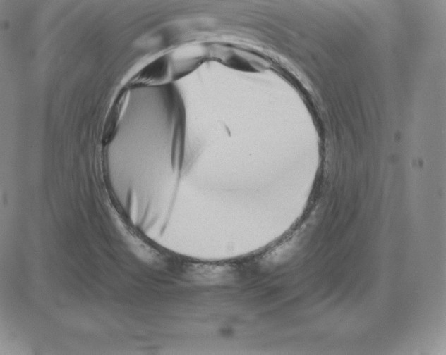 X0000080111513200701051317