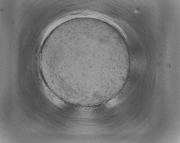 X0000080111514200701051317