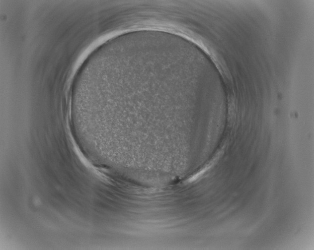 X0000080111515200701051317