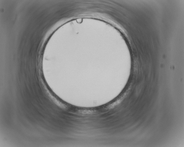 X0000080111517200701051317