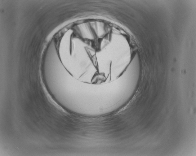 X0000080111518200701051317