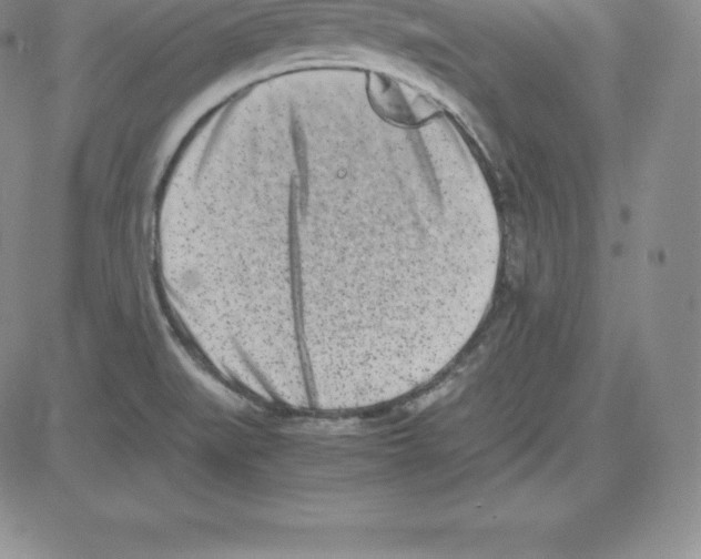 X0000080111519200701051317