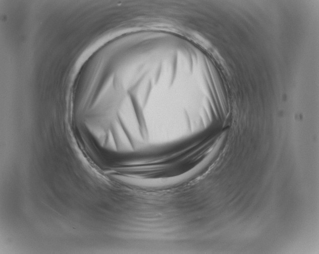 X0000080111520200701051317