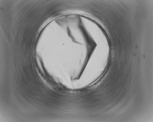 X0000080111521200701051317