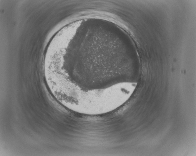 X0000080111522200701051317