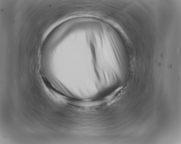 X0000080111524200701051317