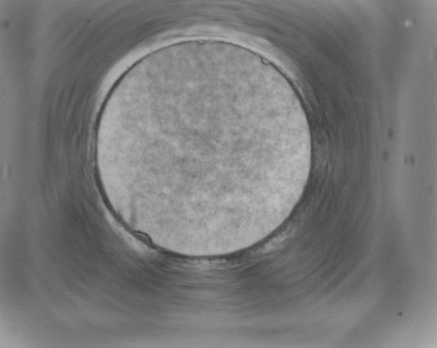 X0000080111527200701051317