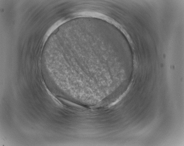 X0000080111529200701051317