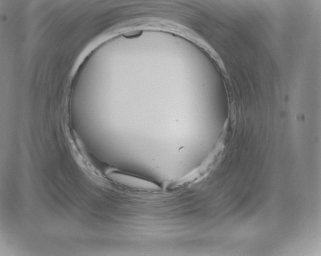 X0000080111530200701051317