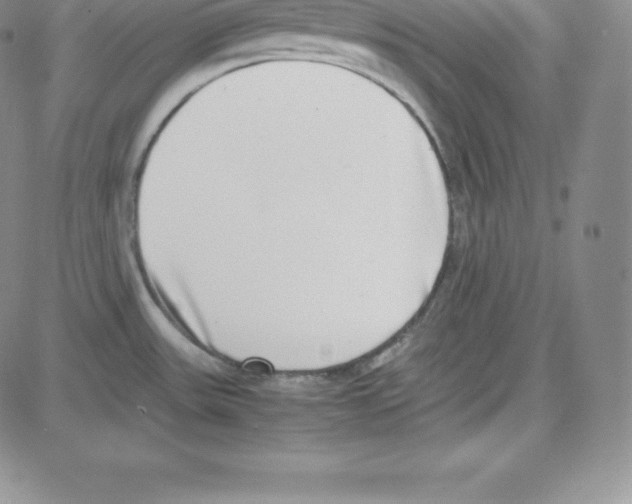 X0000080111531200701051317