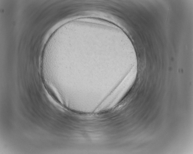 X0000080111535200701051317