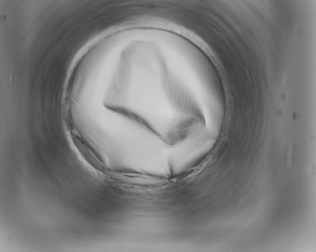 X0000080111536200701051317