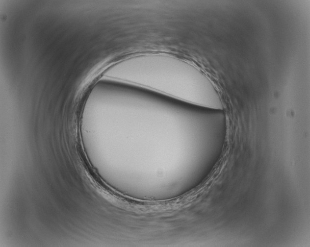 X0000080120005200612080942
