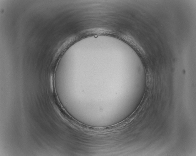 X0000080120014200612080942