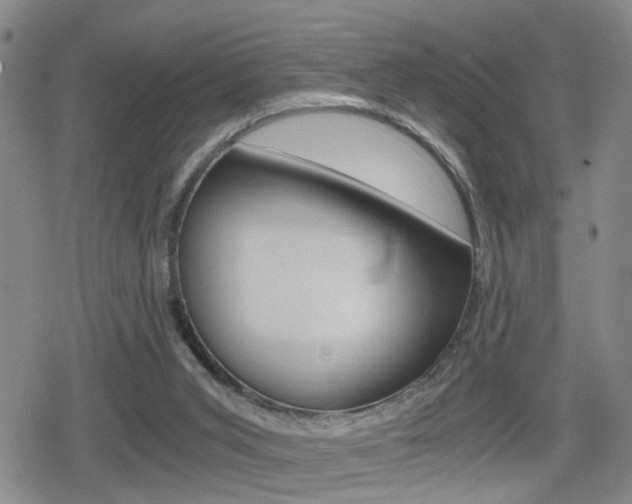 X0000080120015200612080942