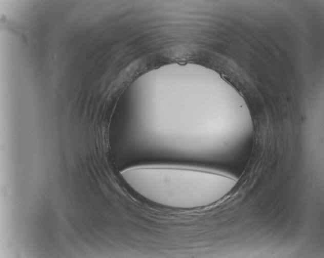 X0000080120044200612080942