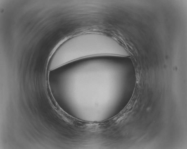 X0000080120052200612080941