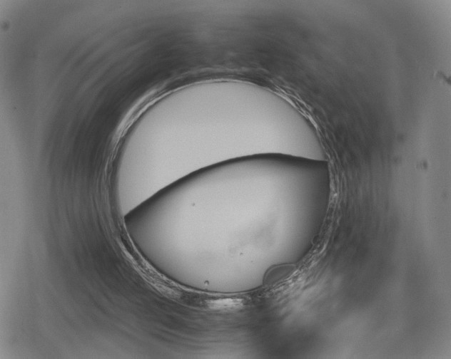 X0000080120053200612080941