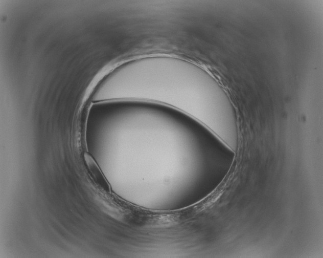X0000080120056200612080941