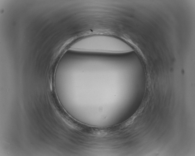 X0000080120062200612080941