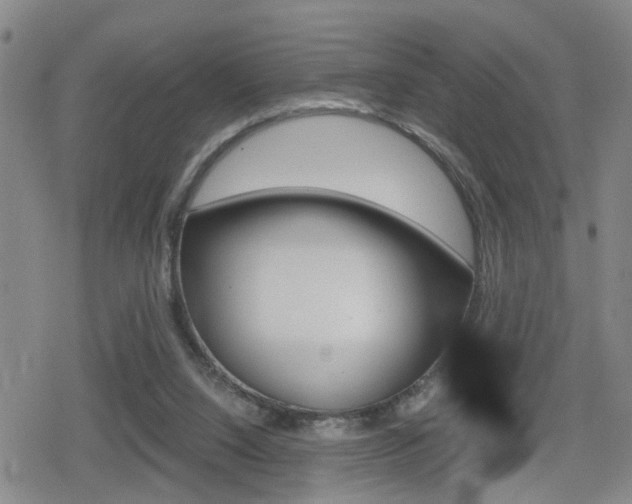 X0000080120064200612080941