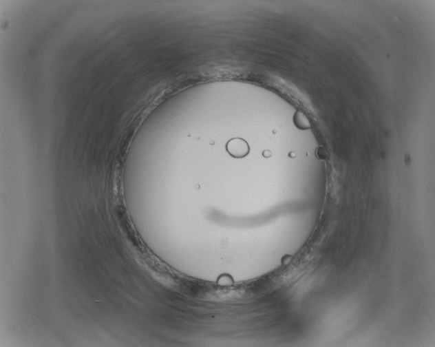 X0000080120065200612080941