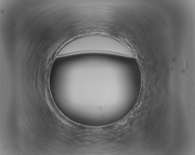 X0000080120097200612080941