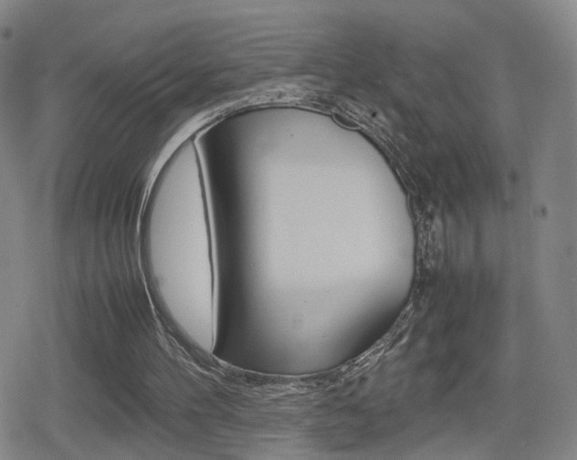 X0000080120100200612080941
