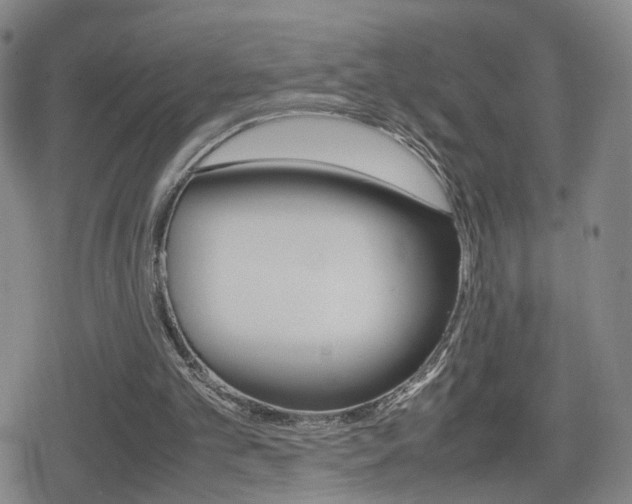 X0000080120101200612080941