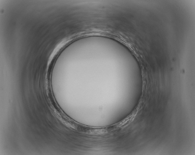 X0000080120102200612080941