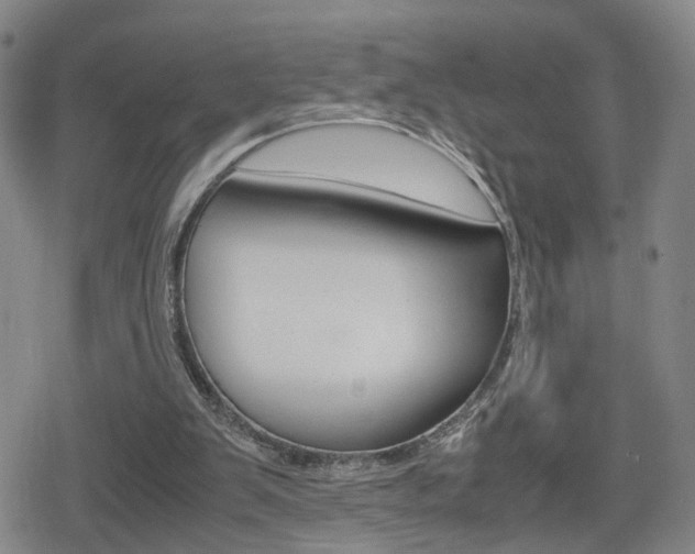 X0000080120103200612080941