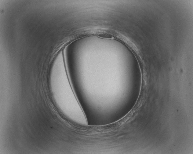 X0000080120105200612080941