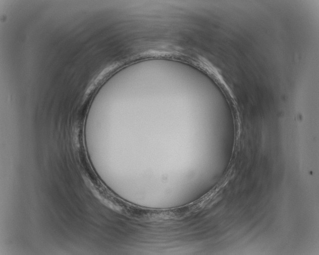 X0000080120106200612080941